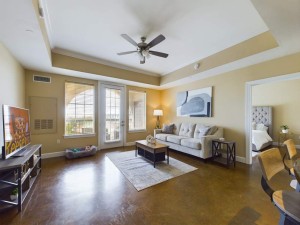Apartments in Baton Rouge - Two Bedroom Apartment - Cameron - Living Room  